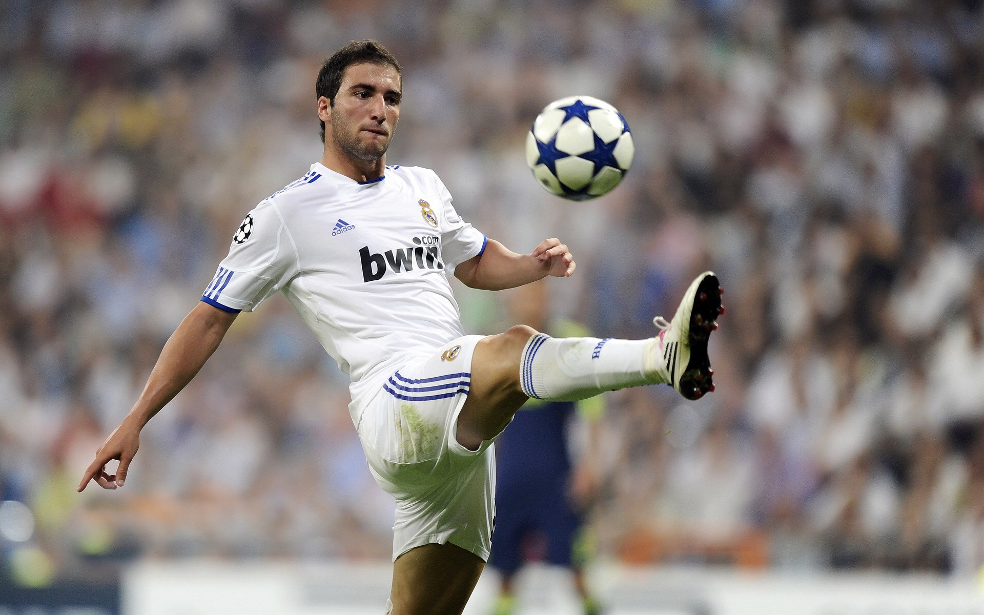 开云体育平台-19岁荷兰新带刀后卫荷甲横空出世5大欧洲豪门疯抢，荷兰足球后卫